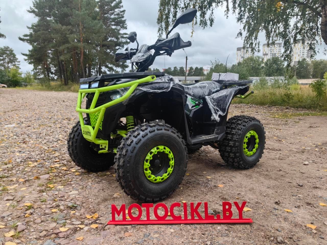 Квадроцикл Avantis Optima New 170 Lux, фото 4