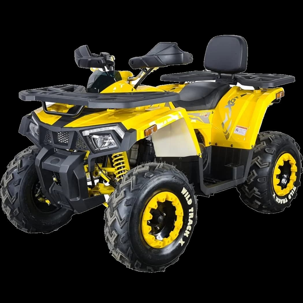 Квадроцикл Motoland 200 WILD TRACK X
