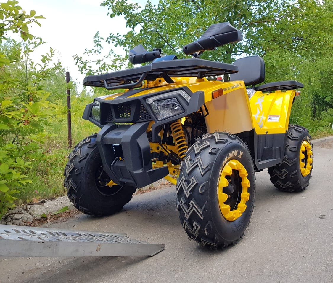 Квадроцикл Motoland 200 WILD TRACK X, фото 2
