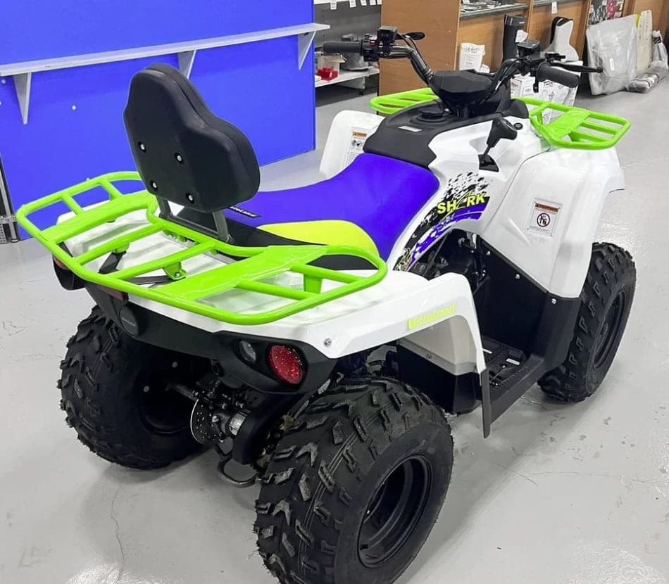 Квадроцикл Motoland ATV 200 Shark, фото 3