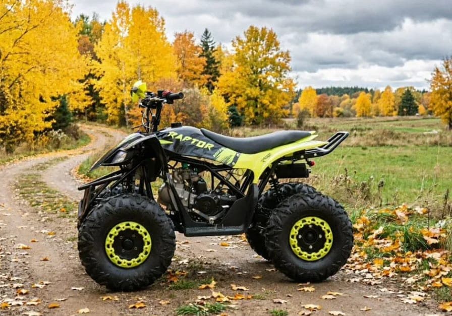 Квадроцикл Motoland VOX125 RAPTOR, фото 3