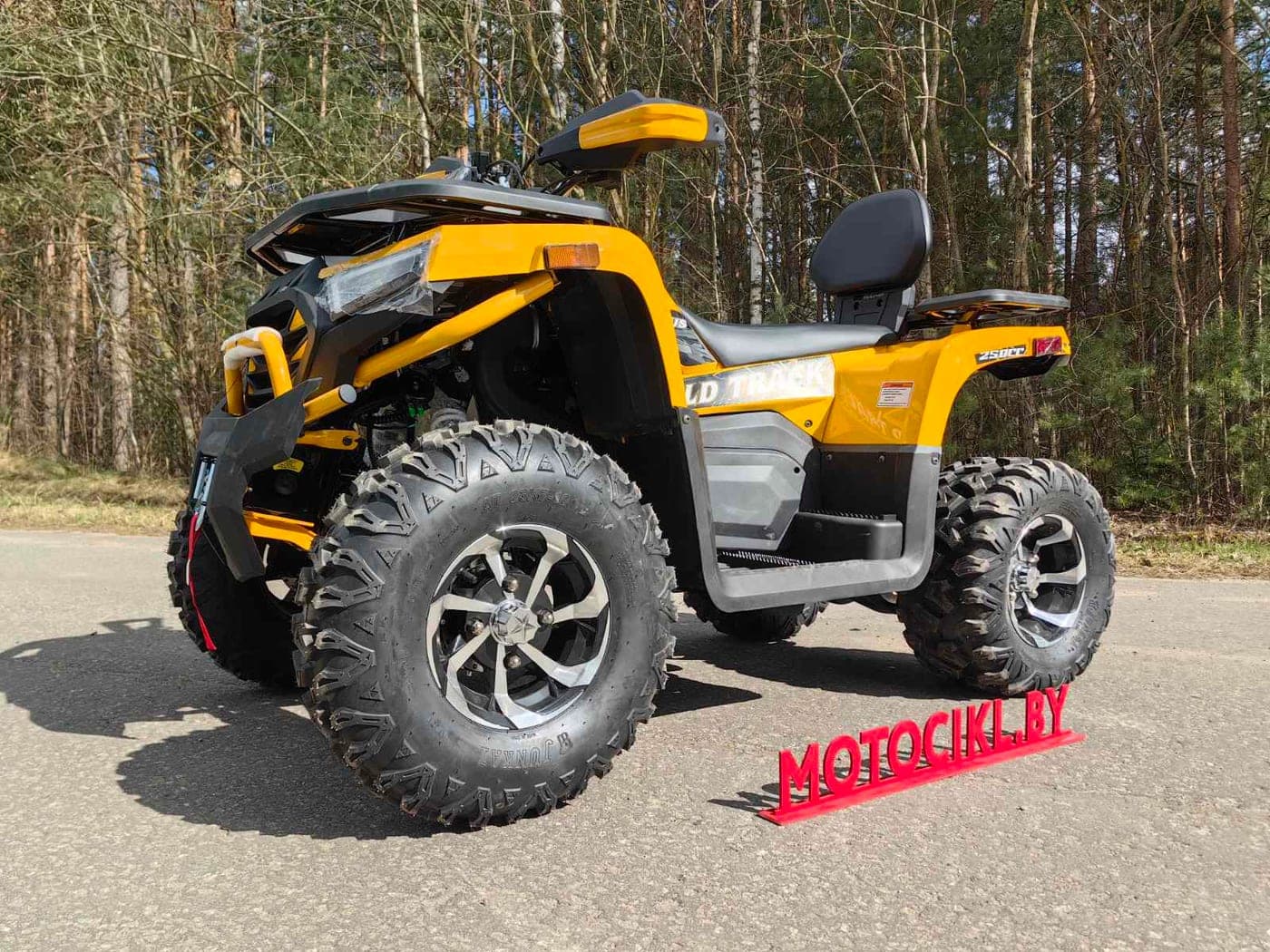 Квадроцикл Motoland VOX250 WILD TRACK X PLUS, фото 2