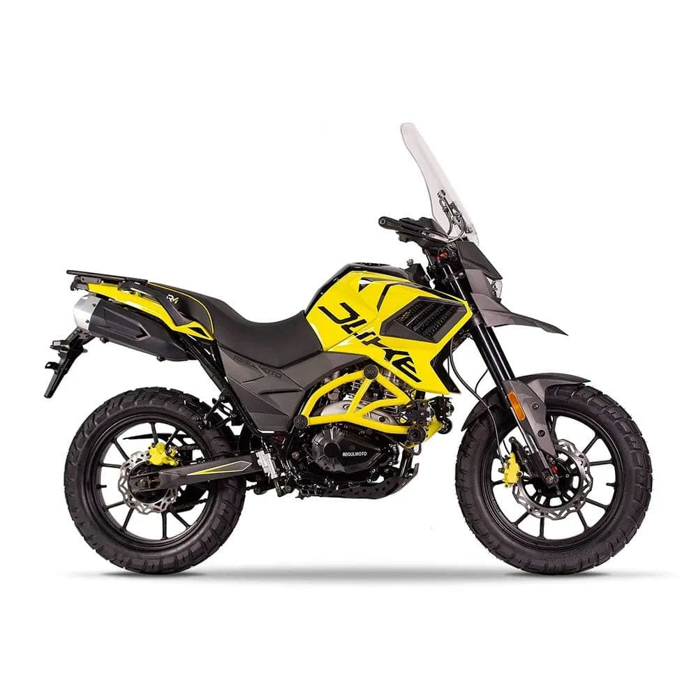 RegulMoto Duke 300, фото 3