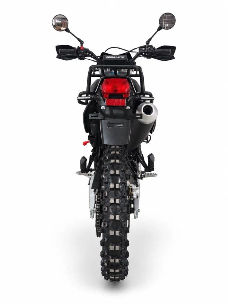 RegulMoto Grizzly PR300PRO