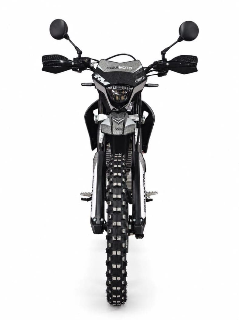 RegulMoto Grizzly PR300PRO, фото 2