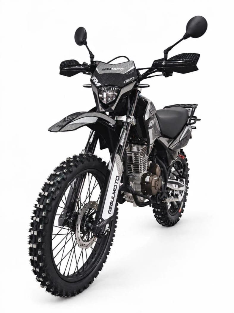 RegulMoto Grizzly PR300PRO, фото 4