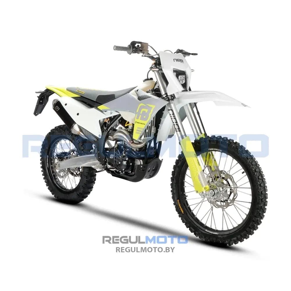 RegulMoto NIBBI N300-S, фото 2