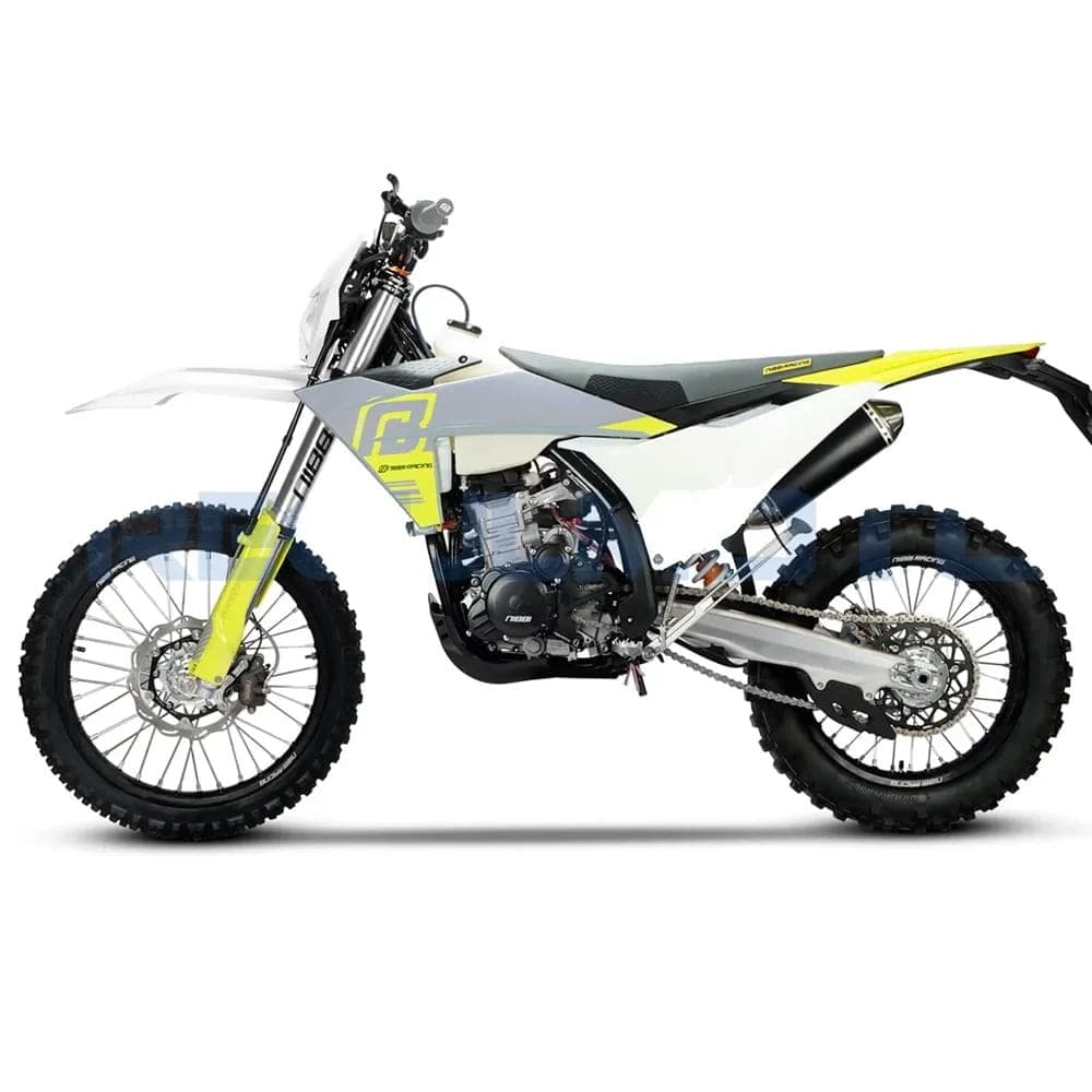 RegulMoto NIBBI N300-S, фото 4
