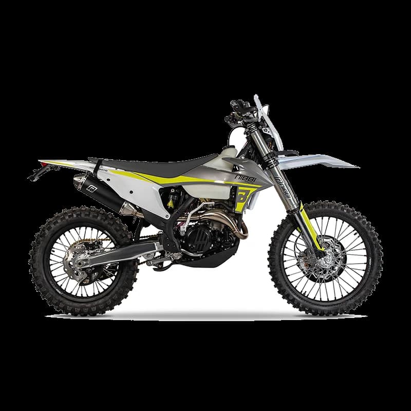 RegulMoto NIBBI N300 (СB300RL)