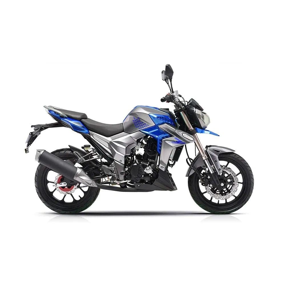 RegulMoto T-Leopard 300, фото 2