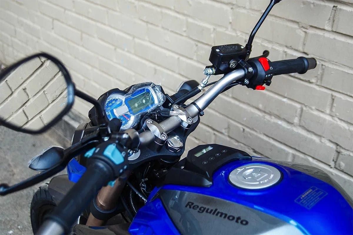 RegulMoto T-Leopard 300, фото 3