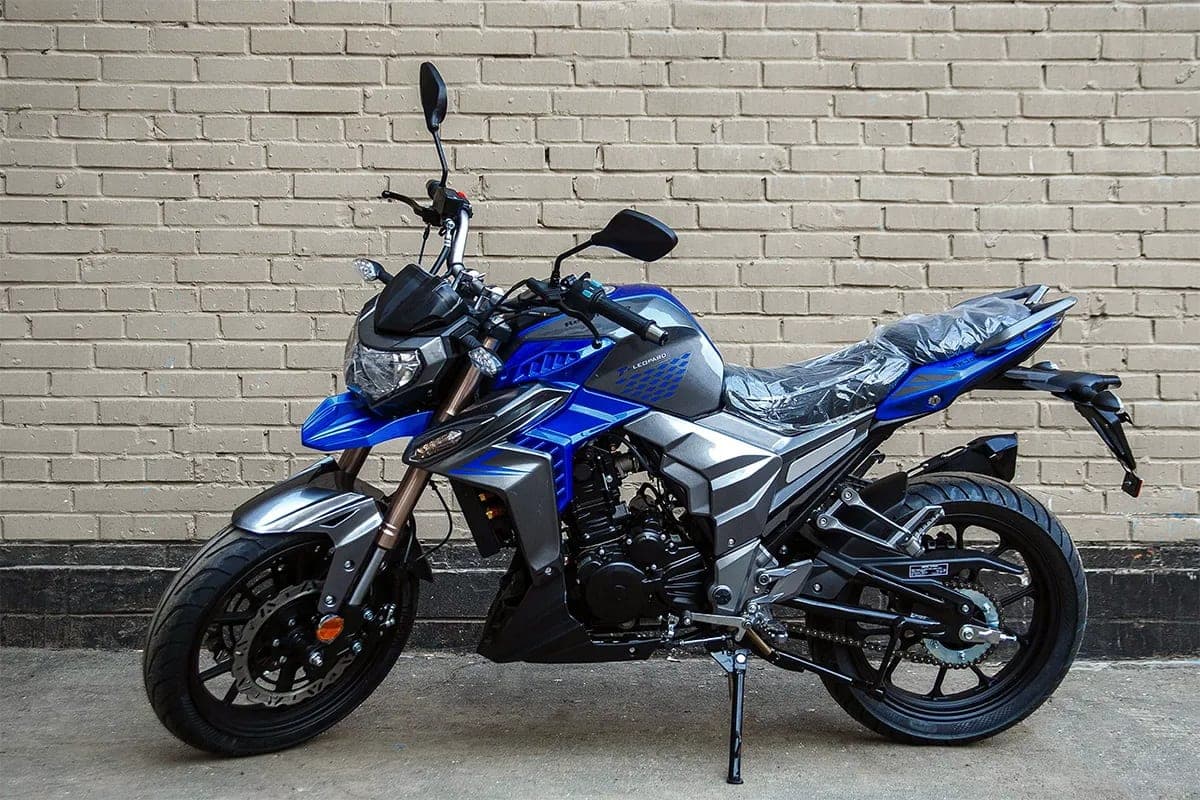 RegulMoto T-Leopard 300, фото 4