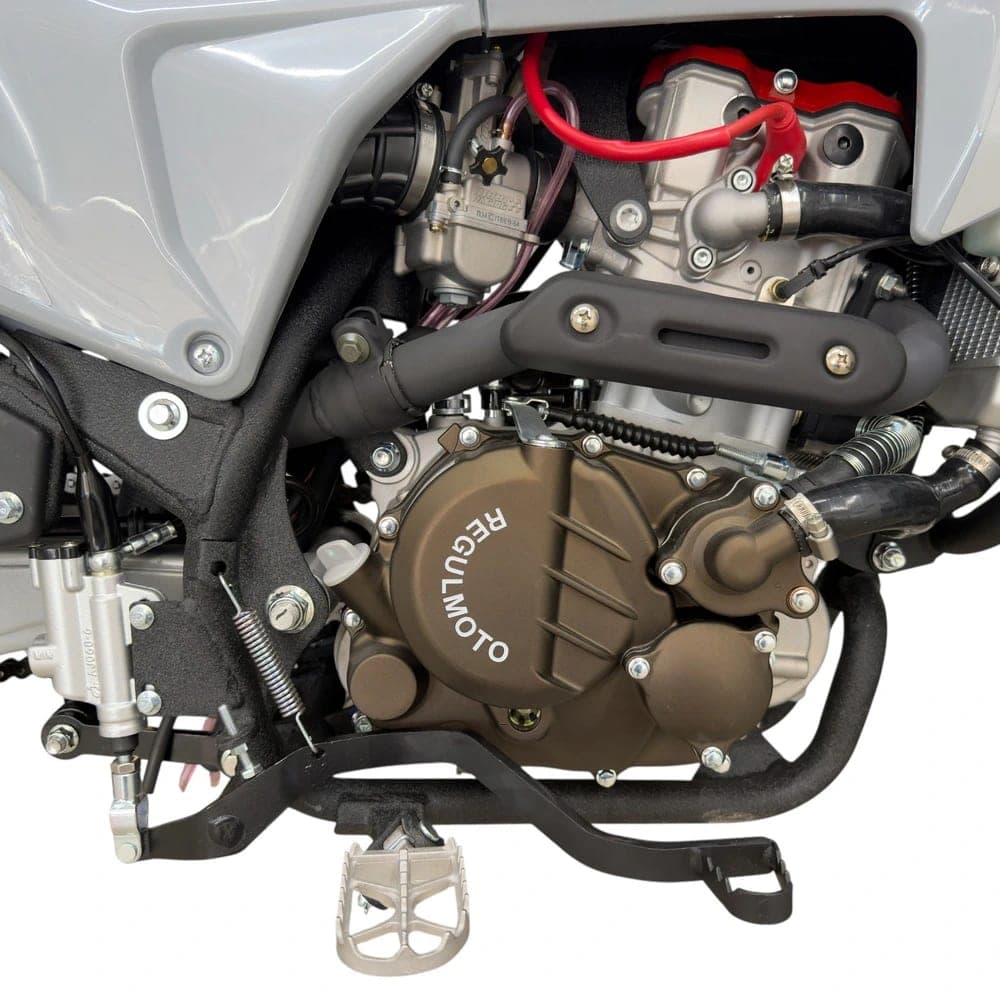 RegulMoto TE PRO NB300, фото 3