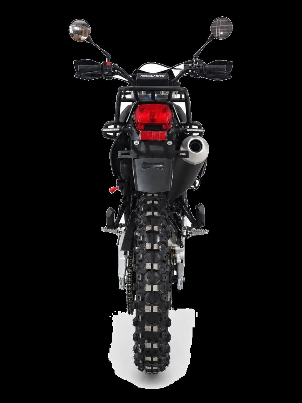 RegulMoto Grizzly PR300PRO